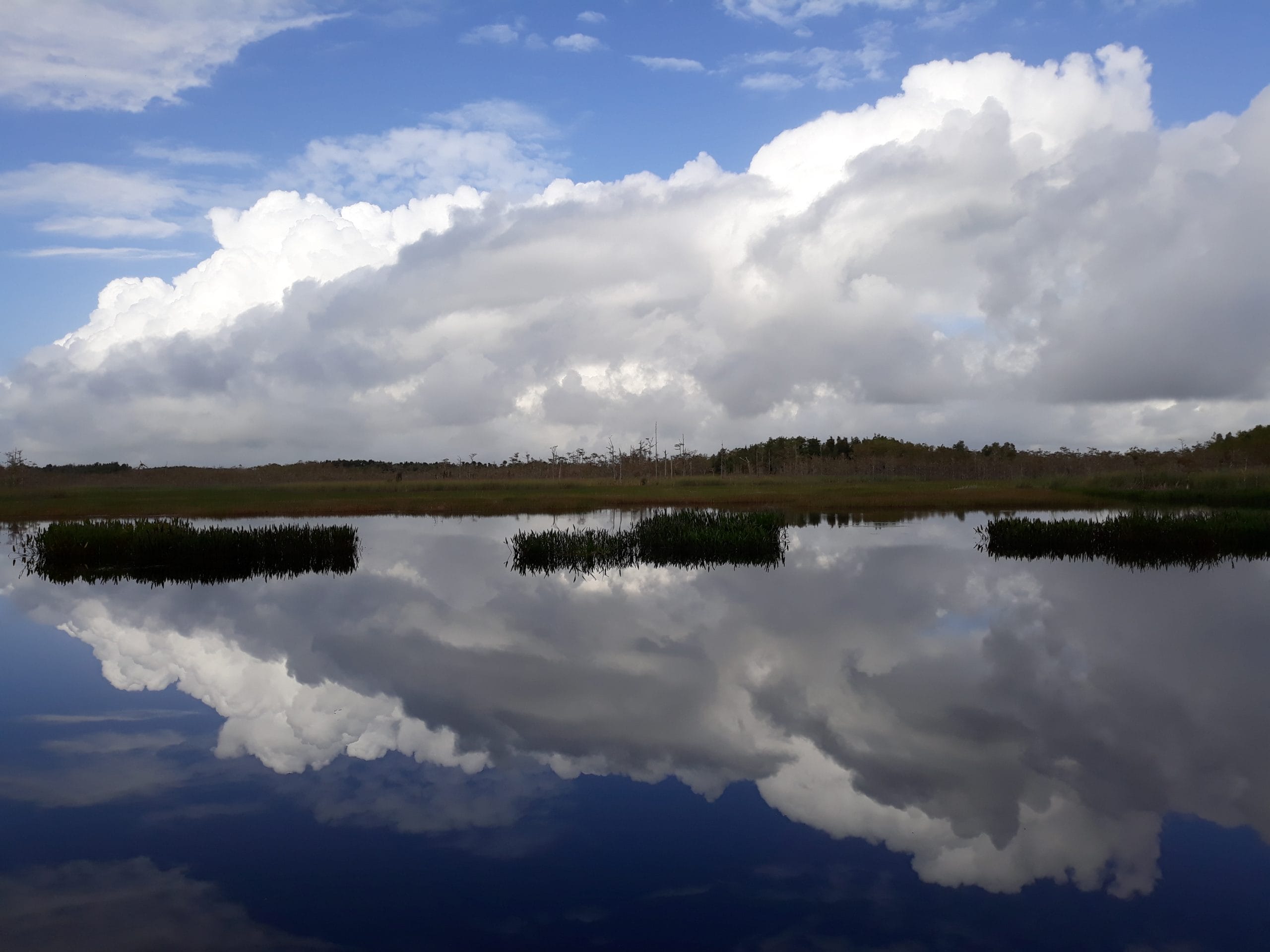 20201030_101432