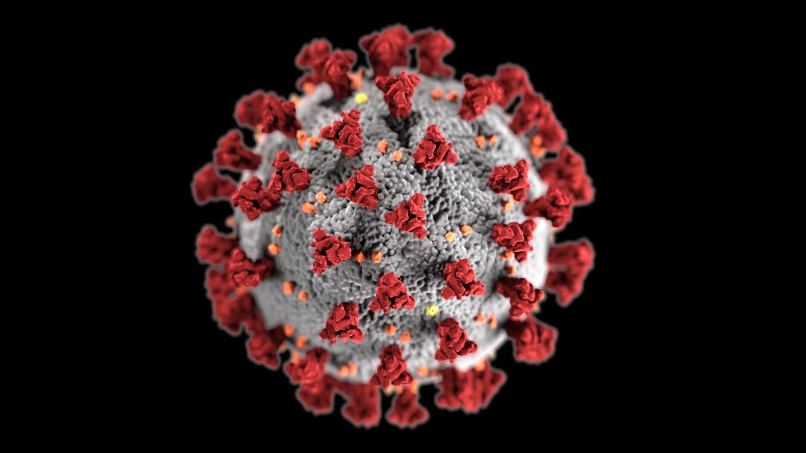 spike_protein spike_protein